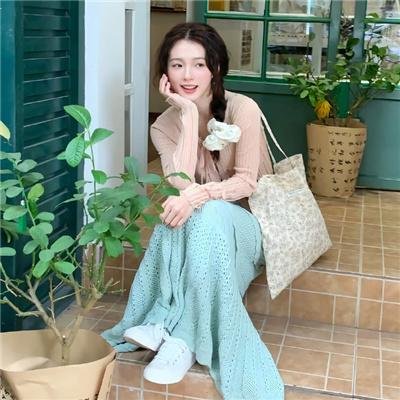 卡美拉 大怪兽空中决战
