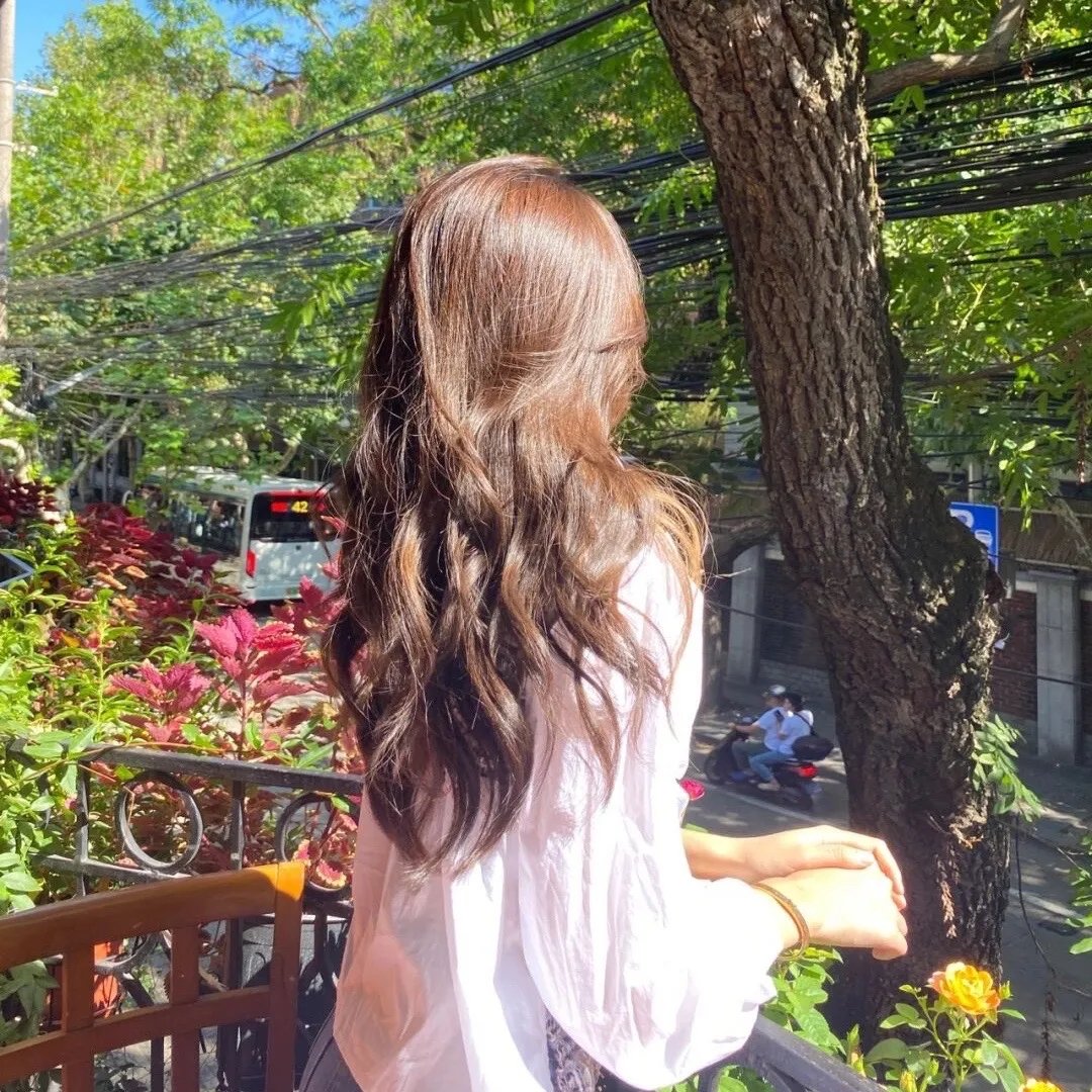 绿洲2023