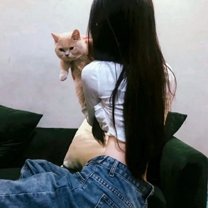 玉楼春晓