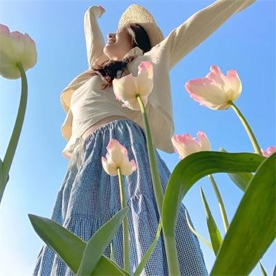紫色山龙虎斗